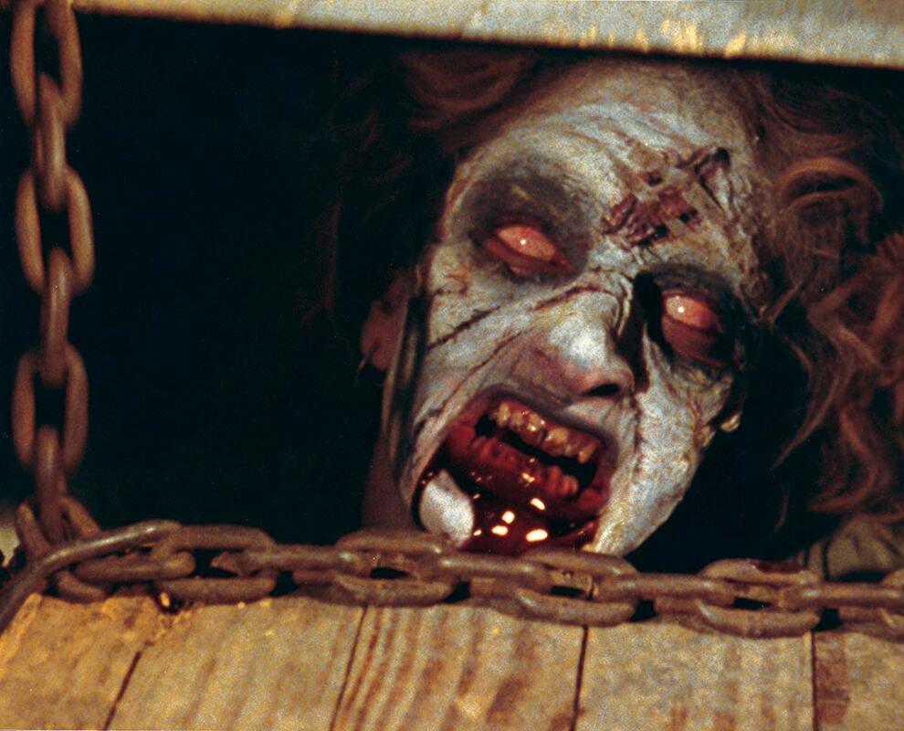 The Evil Dead - this movie will definitely terrify you, one of my favorite 80s horror movies